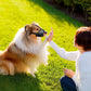Muselière Réglable en Maille Douce pour Chien