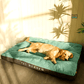 Lit matelas orthopédique à rayures pour Chien toutes saisons